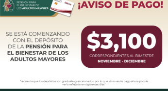 Ya fue depositado el ultimo bimestre del año – Pensión Bienestar de Adultos Mayores