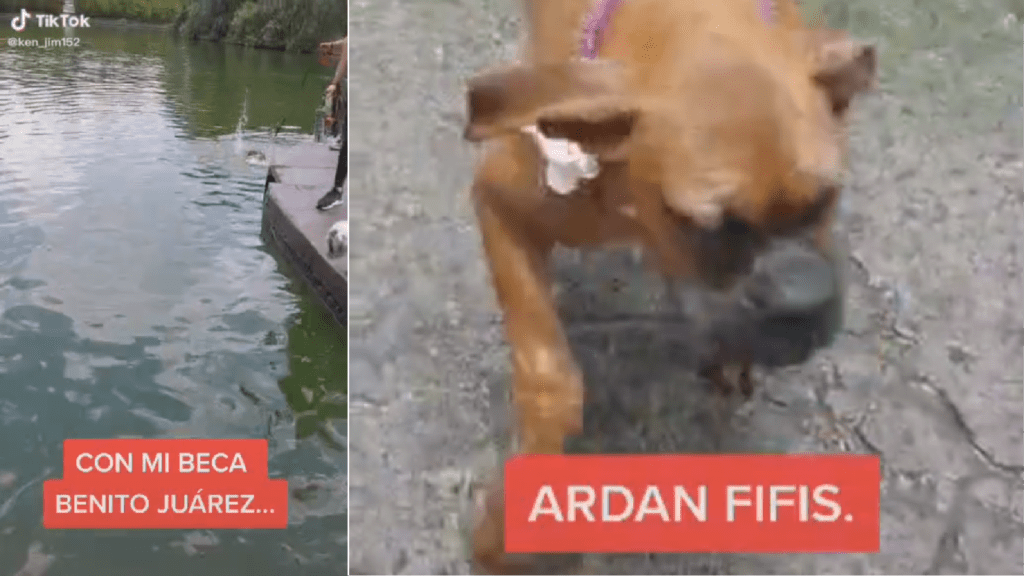 joven paga clases de natación a su perro con su beca benito juárez