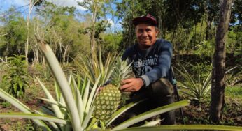 Fecha de pago Sembrando Vida Noviembre 2022