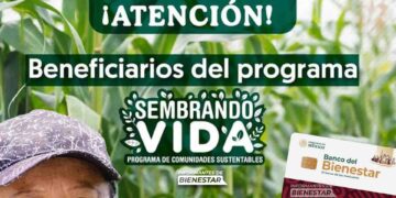 Ya hay fecha de pago de Sembrando Vida octubre 2024