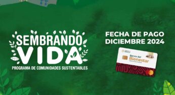 Claudia Sheinbaum prepara depósito BIENESTAR de más de 6 mil pesos este 20 de diciembre para estas personas